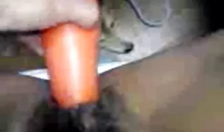 Handwerker fickt Hündin Zaya Kessidy hausfrau sex tube