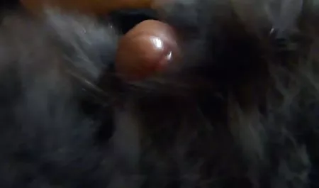 Ich habe mich geirrt, als ich gratis hausfrauensex dachte, dass ihr Mann fickt