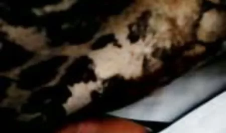 Wird geile hausfrauen beim sex zu Krebs und lässt sich wieder peitschen